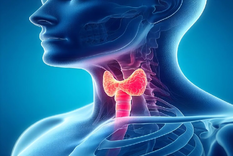Can I Buy Ultima-T3 Online With Bitcoin for Thyroid Health
