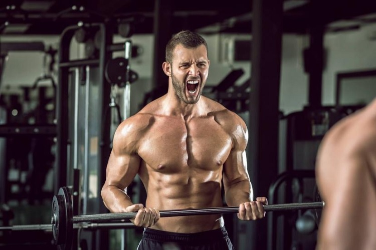 Buy Acro-Trenbolone is it Enough for Power and Performance